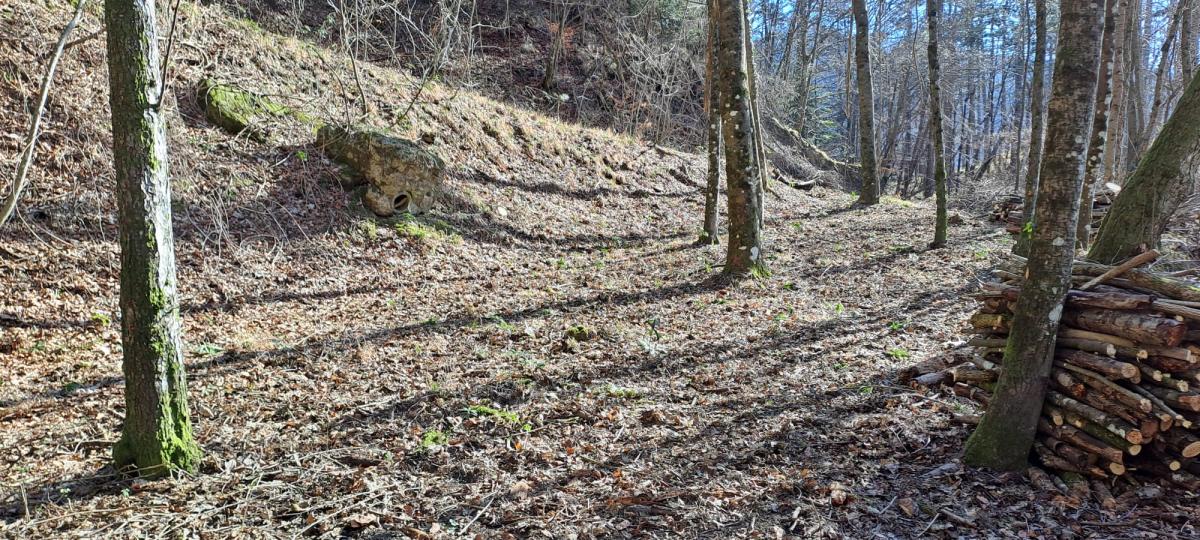 cerca Borgo San Lorenzo  TERRENO AGRICOLO VENDITA