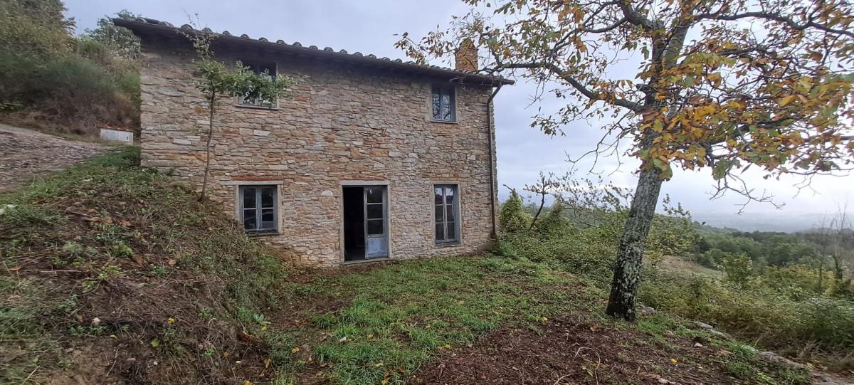cerca Borgo San Lorenzo  CASALE VENDITA